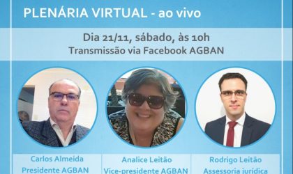 PLENÁRIA VIRTUAL – 21/11 às 10h